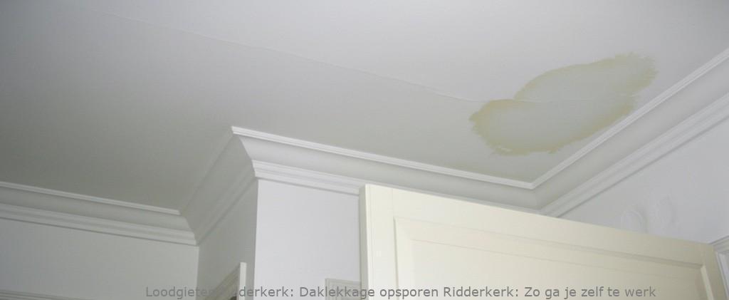 Daklekkage Opsporen Ridderkerk