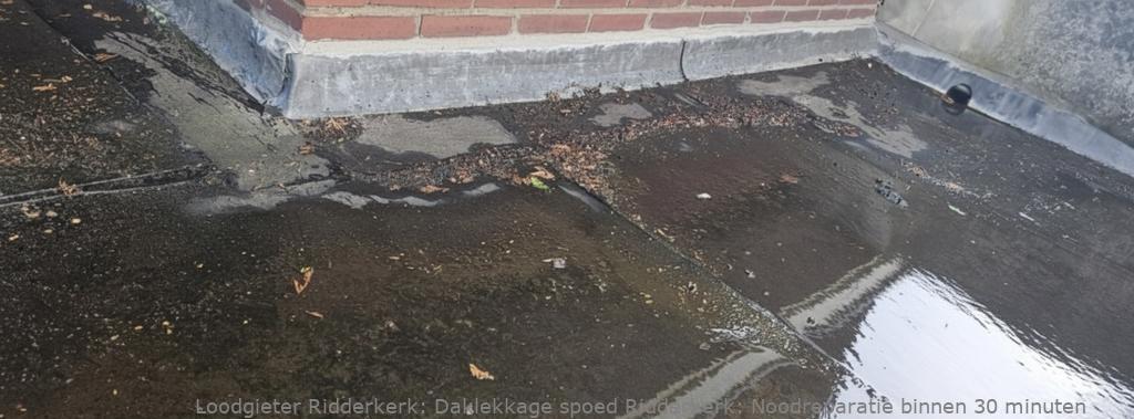 Daklekkage Spoed Ridderkerk
