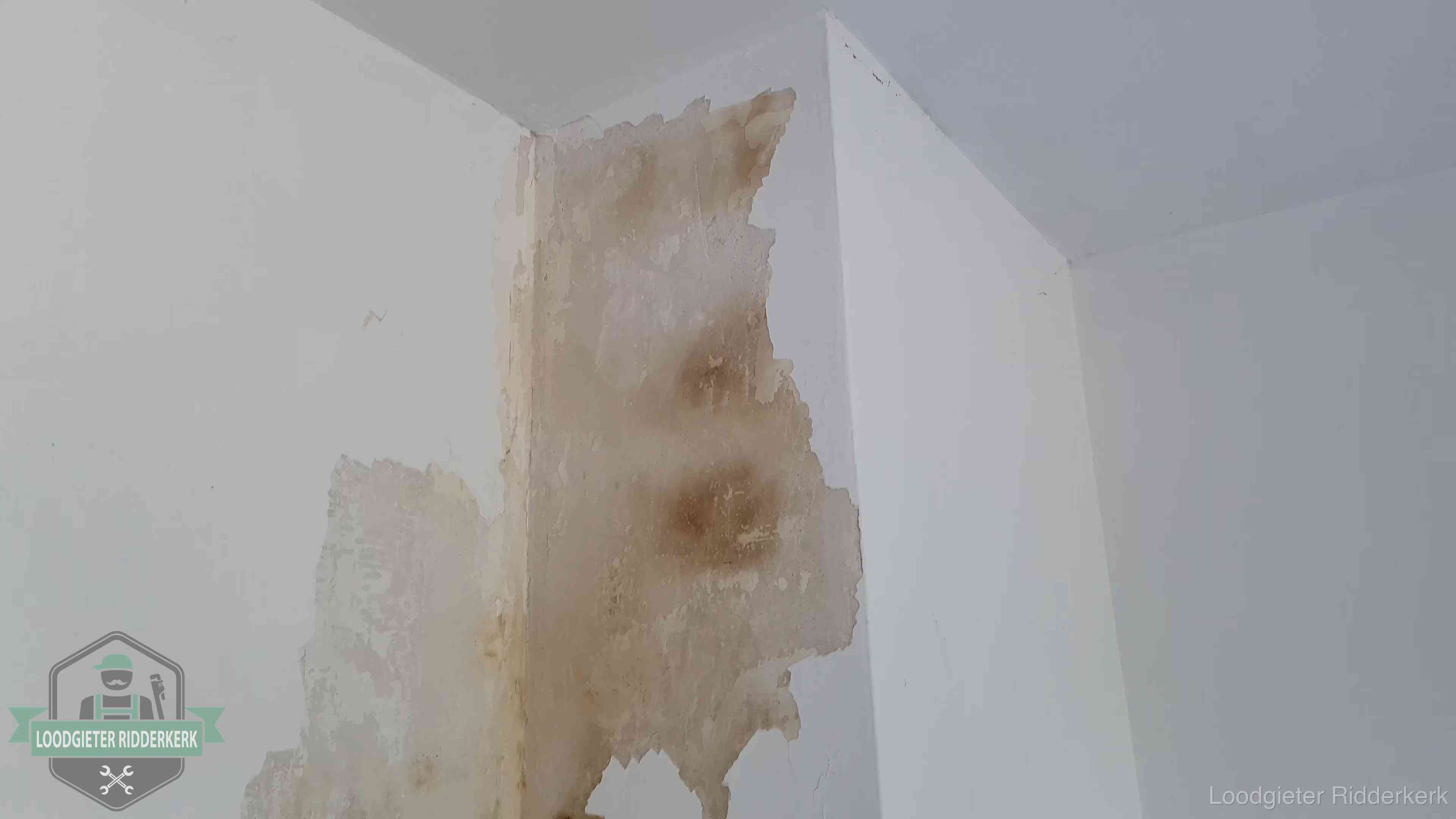 Bruine vochtkringen en afbladderend stucwerk op een binnenmuur in Ridderkerk, een eerste teken van daklekkage