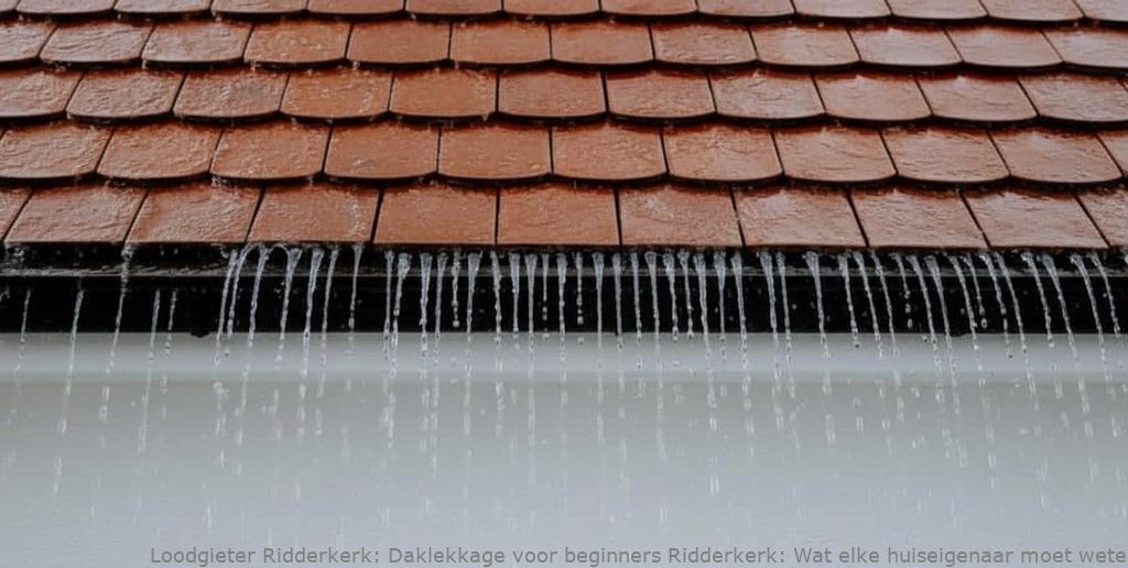 Daklekkage Voor Beginners Ridderkerk