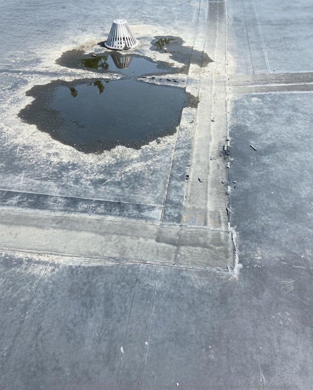 Daklekkage Winter Ridderkerk