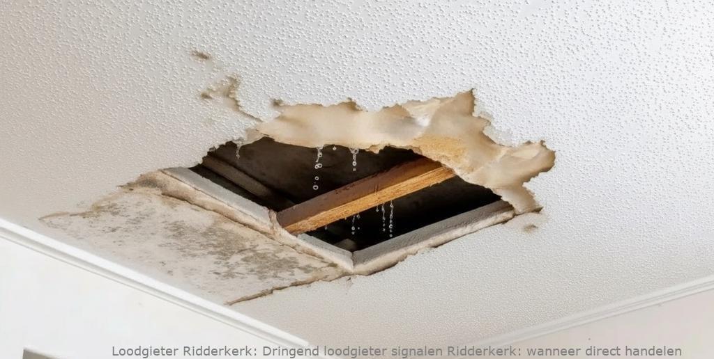 Dringend Loodgieter Signalen Ridderkerk