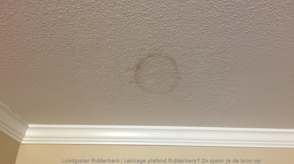Lekkage Plafond Ridderkerk
