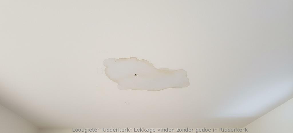 Lekkage Vinden Ridderkerk