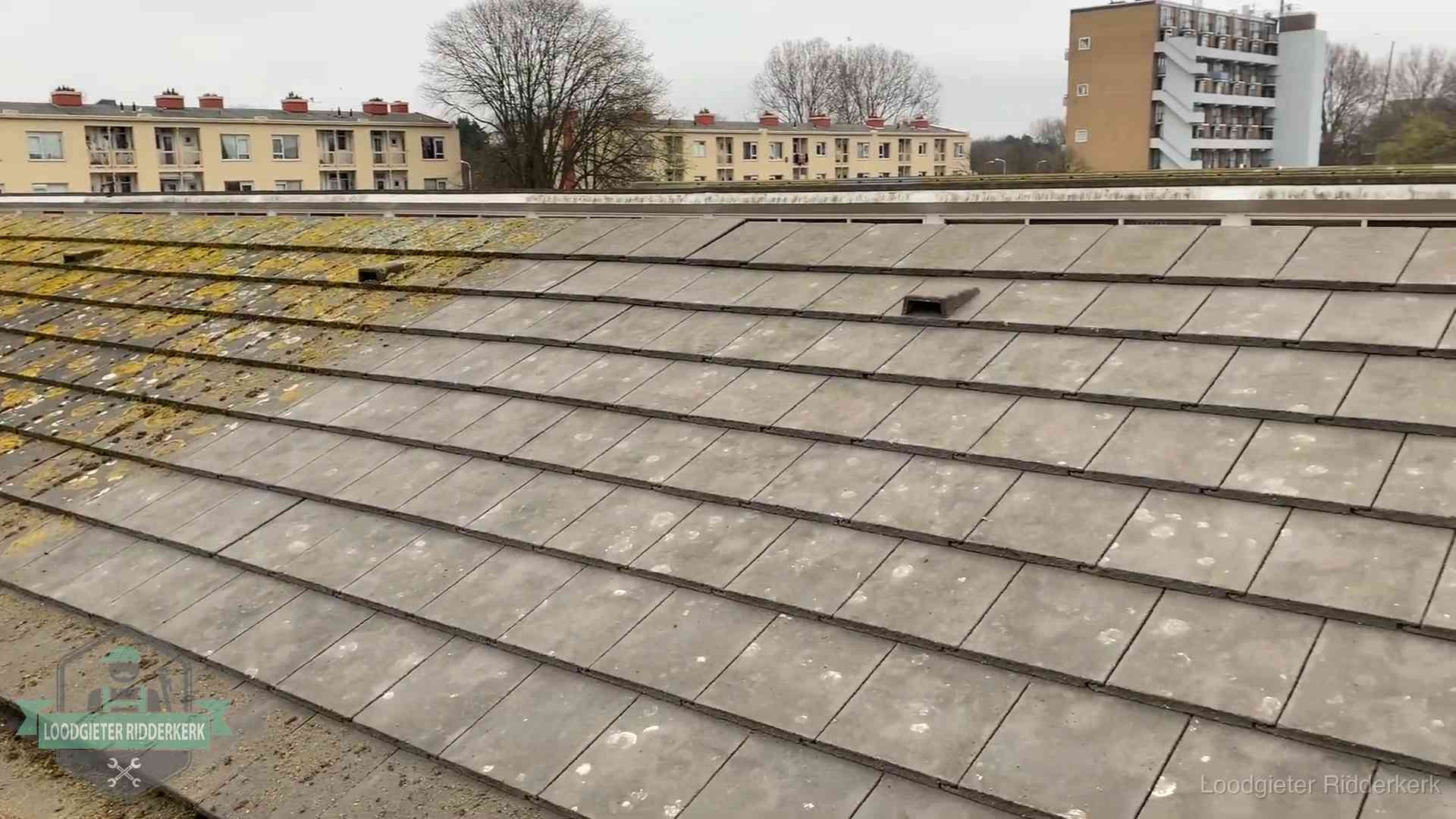 Schuin dak met betonpannen vol mos in Ridderkerk, een risico op lekkage bij de pannen