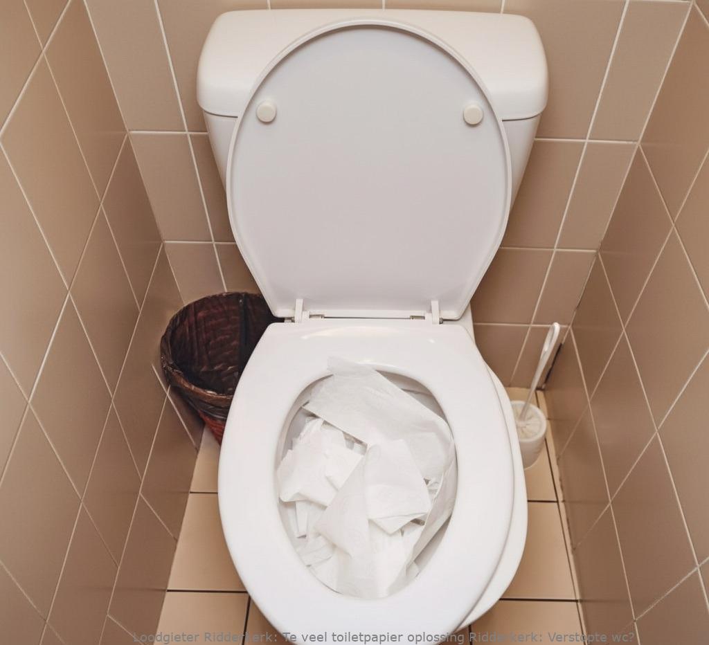 Te Veel Toiletpapier Oplossing Ridderkerk