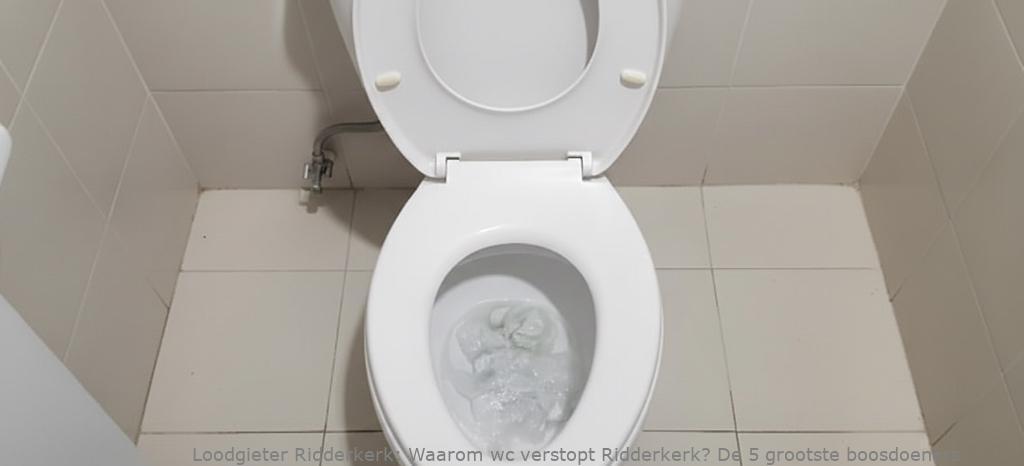 Waarom Wc Verstopt Ridderkerk