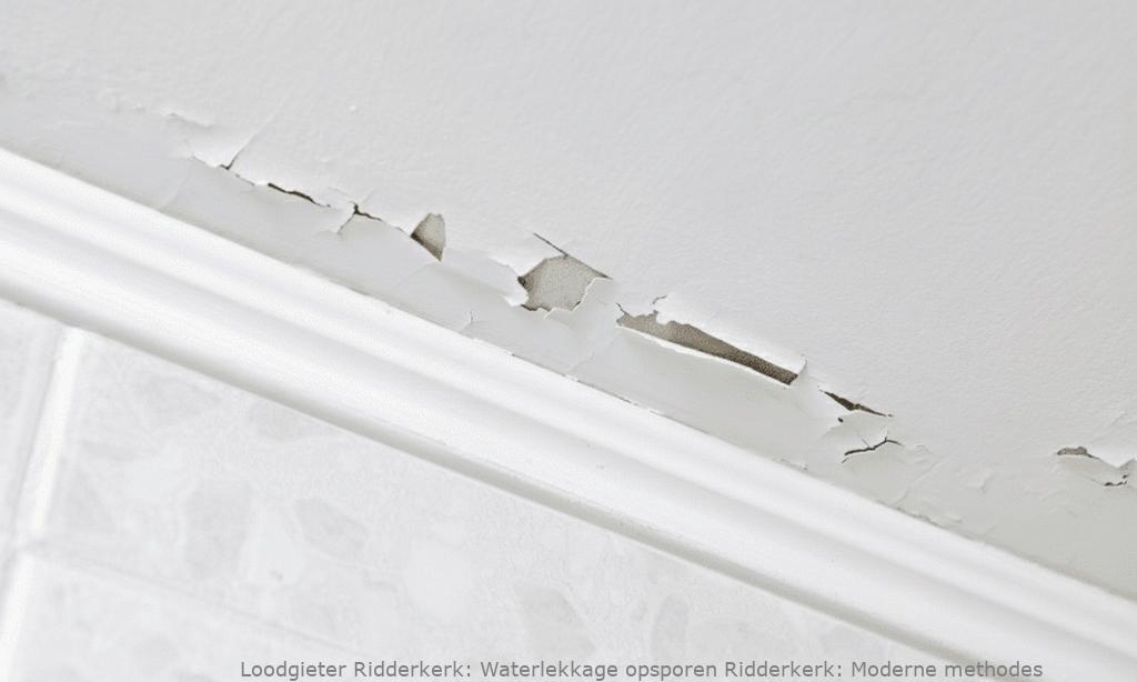 Waterlekkage Opsporen Ridderkerk